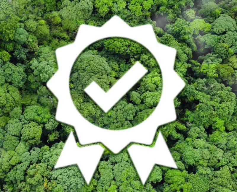 ISO 14001 évolutions pour 2026